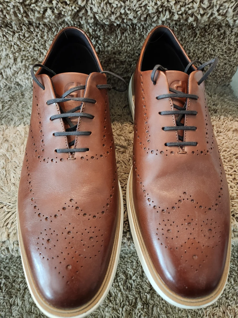 NWOB Cole Haan Men's Brown Leather Wingtip Oxford Shoes -12M